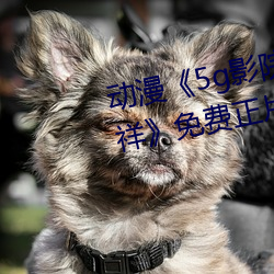 ǲ(й)ٷվ