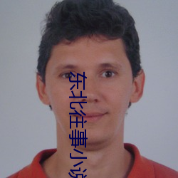 东(dōng)北往事小说