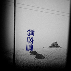 慕容(容)雪(雪)