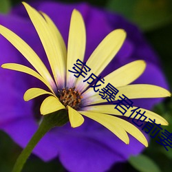穿成暴君他前妻