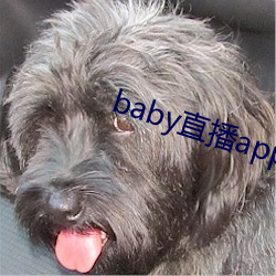 babyֱappԼɿս 壩