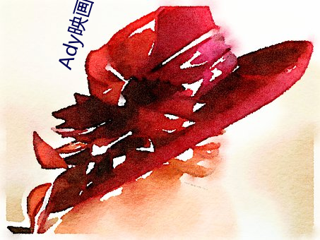 Ady映画(官网)