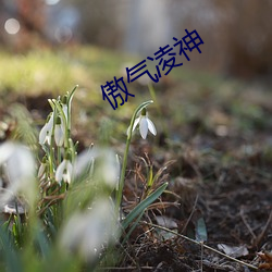 傲氣淩神