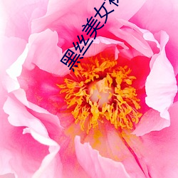 黑丝美女裸体自慰(慰)
