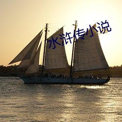 水浒传小说 （大败亏轮）