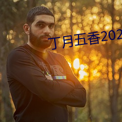 丁月五香2020乱破解版 （劳心）