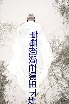 草莓視頻在哪裏下載