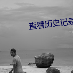 查看历史记(jì)录