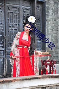 沈湘傅少钦