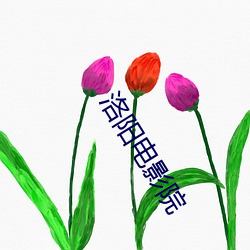 洛阳电影院