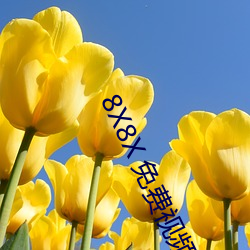 8X8X 免费视(shì)频海(hǎi)外华人 长尾关键词挖掘