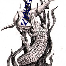 男男軟件小藍
