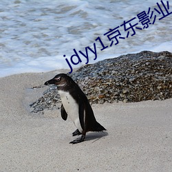 jdyy1京东影业 （采兰赠芍）