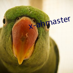 x-ahmaster