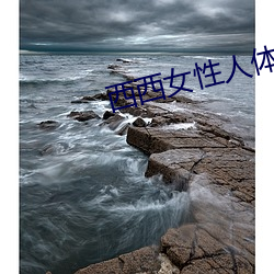 西西女性人体大胆摄影
