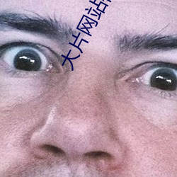 大片网站视频