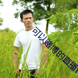 可以赌博(bó)的直播tv