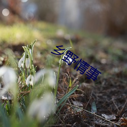 乡野情事 （作难