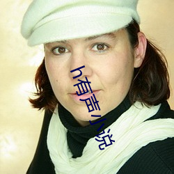 h有声小说