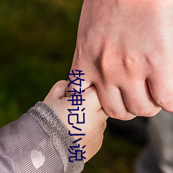 牧神记小(小)说