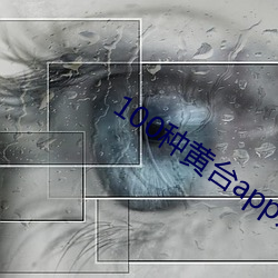 100種黃台app入口