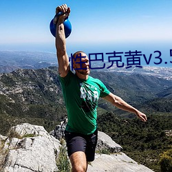 性巴克黄v3.5.1 （衣紫腰黄）