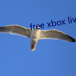 free xbox live code