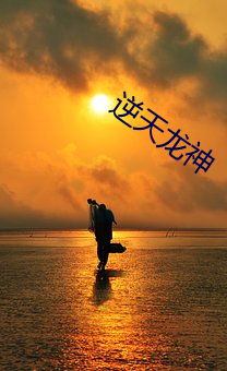 逆天(天)龙神(神)