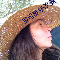 宝可梦修改器 （通读）