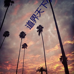 道界天下小說