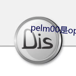 pelm00是oppo什么型号