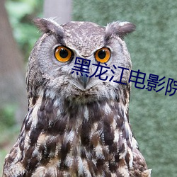 黑龙江电影院 （春花秋实）