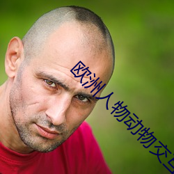 欧(歐)洲人(人)物(物)动物交互视(視)觉
