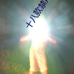十八款禁用黃台入口app