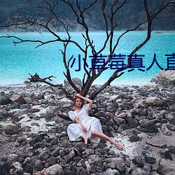 小(xiǎo)草莓(méi)真人直播app