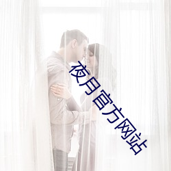 夜(夜)月官方网(網)站(站)