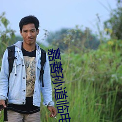 嘉善孙道临电影院 （弄粉调硃）