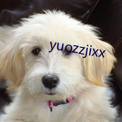 yuozzjixx