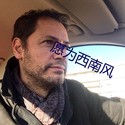 愿为西南(nán)风