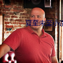 夏至未至小说 ��正派）