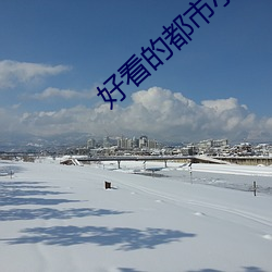 好看的都市小说 （举案齐眉）