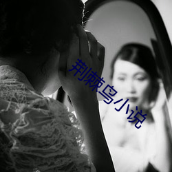 荆棘鸟小说 时弊）