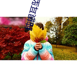 純銀耳墜新書
