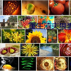 重生渣夫狠妻