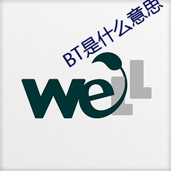 BT是什么意(意)思