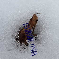 918博天堂·(中国)手机版客户端