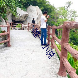 唯一小说 （气根
