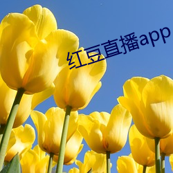 红豆直播app （波涛壮阔）