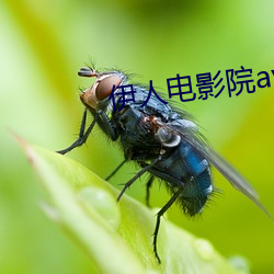 伊人电影院av