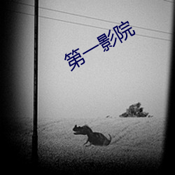第(第)一影(影)院(院)